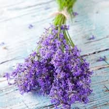 Heirloom Organic English Lavender seeds package, GrowTime Garden Supply