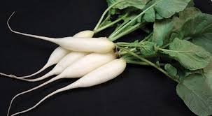 Heirloom Organic Short Top White Icicle Radish seeds package, GrowTime Garden Supply