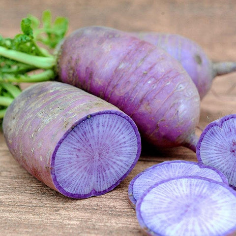 Rare Organic Heirloom Blue Moon Radish seeds package, GrowTime Garden Supply