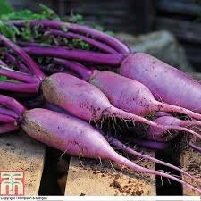 Load image into Gallery viewer, Rare Organic Heirloom BlueMoon Radish Seeds
