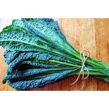 Heirloom Organic Dinosaur Kale seeds package, GrowTime Garden Supply