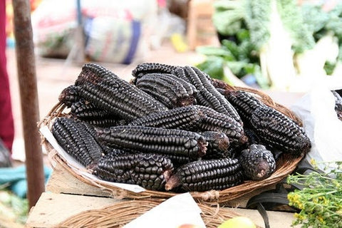 RARE (NATIVE AMERICAN) Heirloom Organic Black Aztec Corn Seeds (Black Mexican Corn) Seeds, additional product view 2