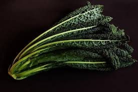 Heirloom Organic Black Magic Lacinato Kale Seeds, additional product view 2