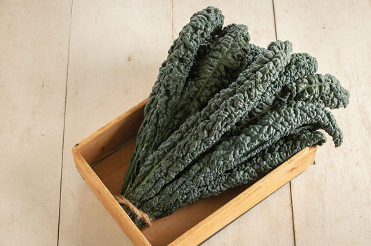 Heirloom Organic Black Magic Lacinato Kale Seeds