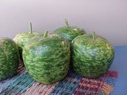 Load image into Gallery viewer, RARE Heirloom Organic Apple Gourd Seeds
