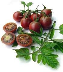 Heirloom Organic Chocolate Cherry Tomato seeds package, GrowTime Garden Supply
