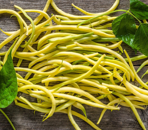 Heirloom Organic Yellow Pencil Pod Bush Bean seeds package, GrowTime Garden Supply
