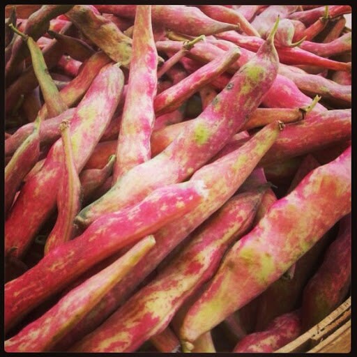 Load image into Gallery viewer, Organic Heirloom Red Cargamanto Bean Seeds
