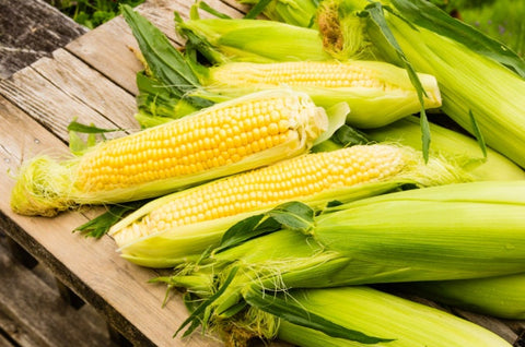 Organic Heirloom Early Golden Bantam Sweet Corn seeds package, GrowTime Garden Supply