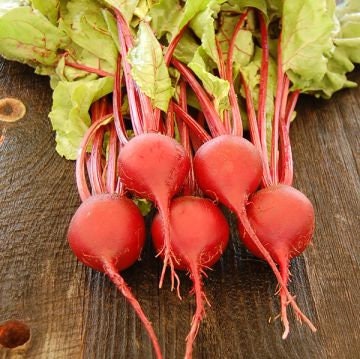 Load image into Gallery viewer, Organic Heirloom Tall Top Early Wonder Beet Seeds
