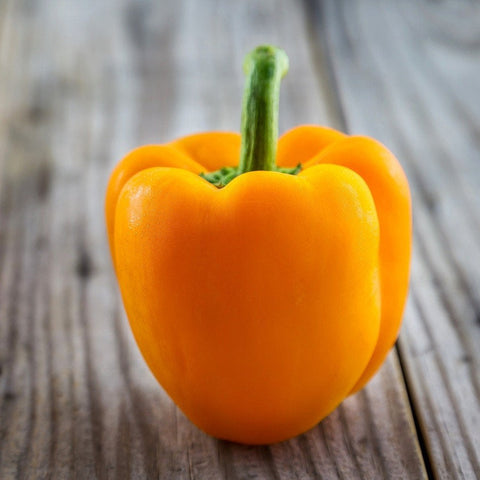 Organic Heirloom Sunbright Sweet Pepper seeds package, GrowTime Garden Supply
