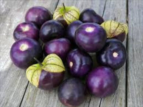 Organic Heirloom Purple Tomatillo seeds package, GrowTime Garden Supply