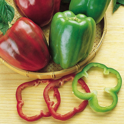 Organic Heirloom Calwonder Bell Pepper seeds package, GrowTime Garden Supply