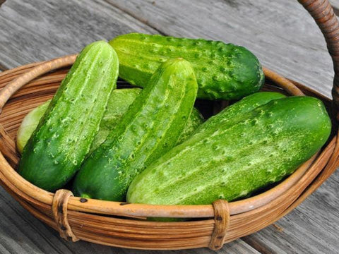 Organic Heirloom Poinsett 76 Cucumber seeds package, GrowTime Garden Supply