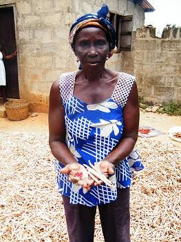 Load image into Gallery viewer, SUPER RARE ENDANGERED Torkuviahe Bean Seeds **Endangered plant species**
