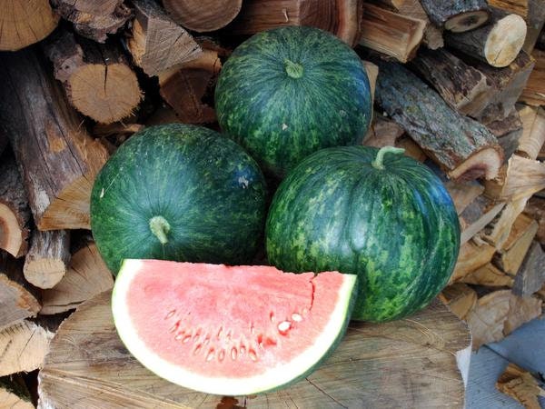 Load image into Gallery viewer, Heirloom Organic Wilson's Sweet Watermelon Seeds
