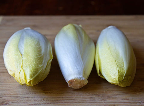 Heirloom Organic Salad King Endive Seeds, additional product view 2