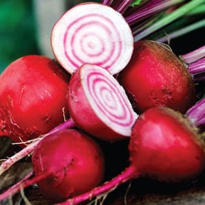 Load image into Gallery viewer, Heirloom Organic Chioggia Guardsmark Beet Seeds (Aka Bullseye Beet)
