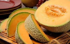 Heirloom Organic Delicious 51 Cantaloupe seeds package, GrowTime Garden Supply