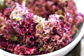 Heirloom Organic 8 Lettuce Salad Bowl Seeds, additional product view 2