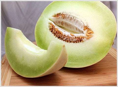 Heirloom Organic Tam Dew Honeydew Melon Seeds, additional product view 2