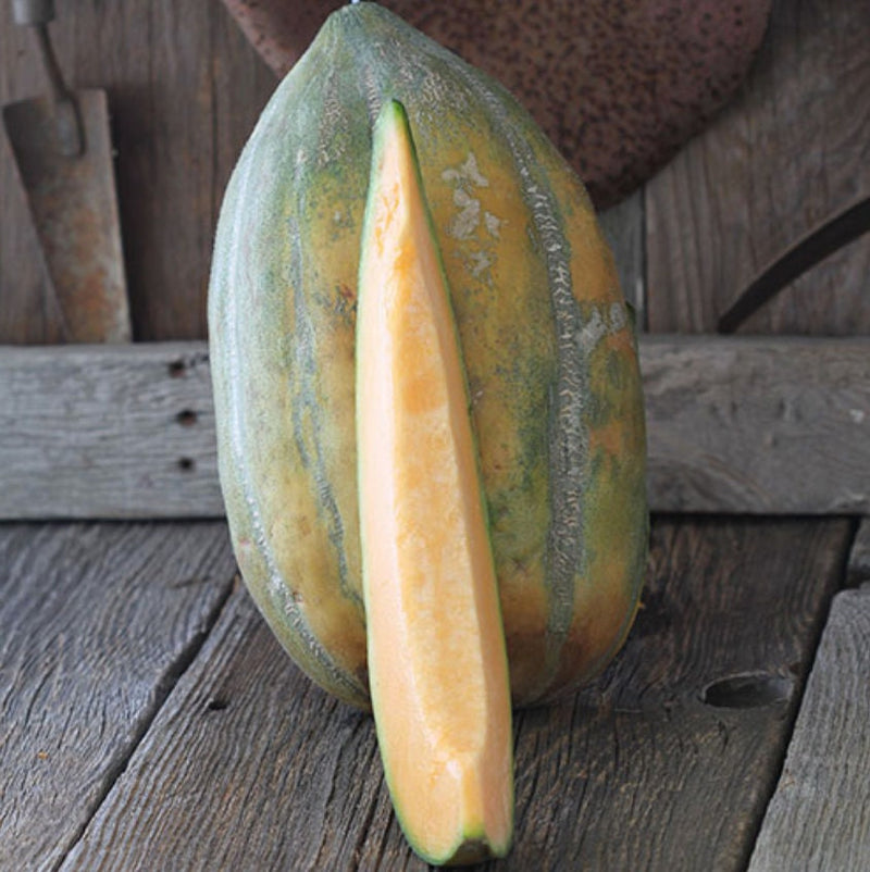 Load image into Gallery viewer, RARE Heirloom Organic Bidwell Casaba Melon Seeds
