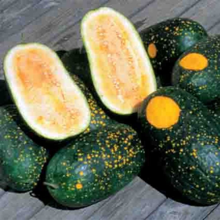 Load image into Gallery viewer, RARE Heirloom Organic YELLOW FLESH Moon and Stars Watermelon Seeds (Sun, Moon and stars Watermelon) Seeds
