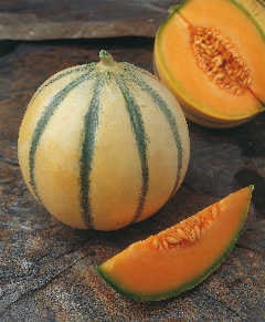 Rare Heirloom Organic Charentais Melon seeds package, GrowTime Garden Supply