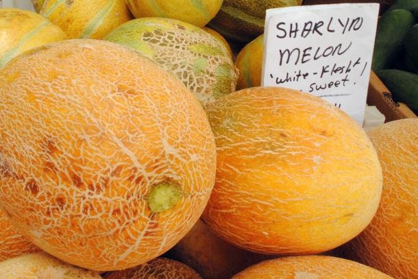 Load image into Gallery viewer, Rare Heirloom Organic Sharlyn Melon Seeds (Aka Pineapple Melon, Ananas Melon, Ananas D'Amerique a Chair Verte)
