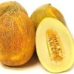 Rare Heirloom Organic Sharlyn Melon seeds package, GrowTime Garden Supply