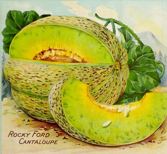 Load image into Gallery viewer, RARE Heirloom Organic Rocky Ford Green Flesh Melon Seeds (Aka Eden Gem Melon)
