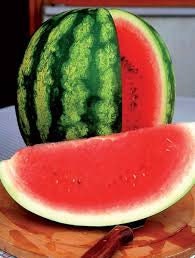 Organic Heirloom AU Producer Watermelon Seeds, additional product view 2