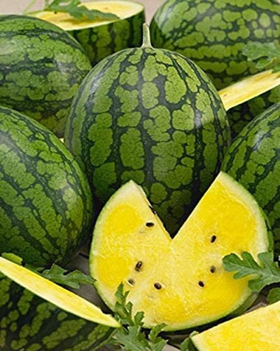 Load image into Gallery viewer, Heirloom Organic Mountain Sweet Yellow Watermelon Seeds
