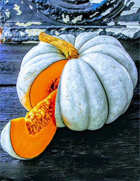 Rare Organic Heirloom Jarrahdale Pumpkin seeds package, GrowTime Garden Supply