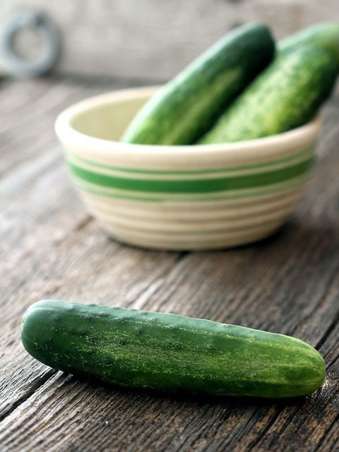 Heirloom Organic Straight Eight Cucumber seeds package, GrowTime Garden Supply