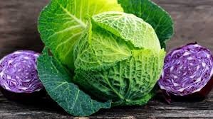 Heirloom Organic Danish Ballhead Cabbage Seeds, additional product view 2
