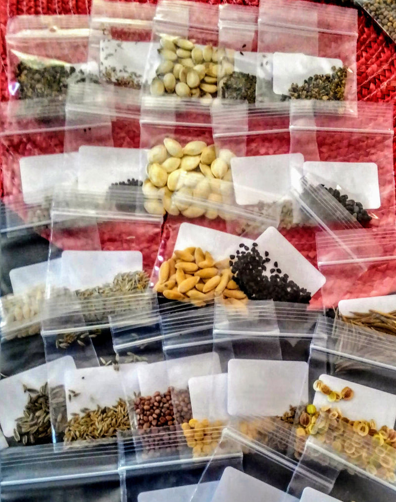 Load image into Gallery viewer, Military grade Survival Seed Bank 75 Variety Seed Vault
