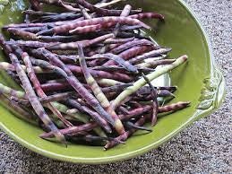 Load image into Gallery viewer, Organic Heirloom Purple Coronet Southern Pea (Cowpea) Seeds
