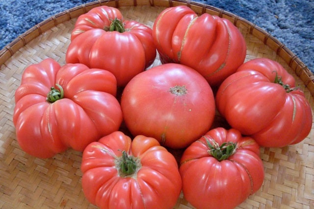 Load image into Gallery viewer, Heirloom Organic Pink Tiffen Mennonite Tomato Seeds
