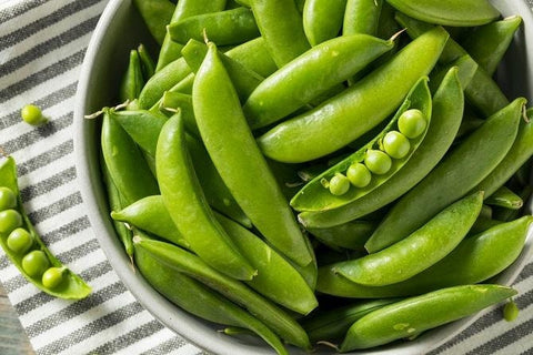 Heirloom Organic Sugar Daddy Stringless Pea Seeds, additional product view 2
