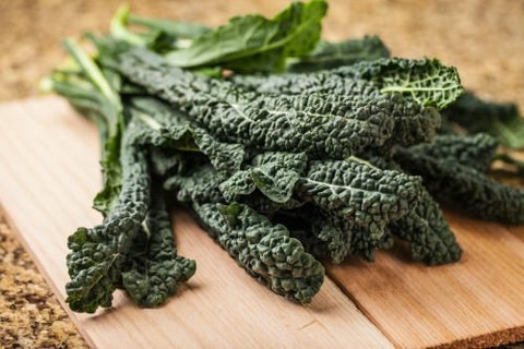 Heirloom Organic Black Magic Lacinato Kale seeds package, GrowTime Garden Supply