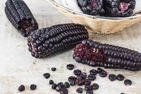 RARE Heirloom Organic Peruvian purple Corn Seeds (Maiz Morado or Incan Ceremonial Maiz), additional product view 2