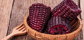 RARE Heirloom Organic Peruvian purple Corn Seeds (Maiz Morado or Incan Ceremonial Maiz)