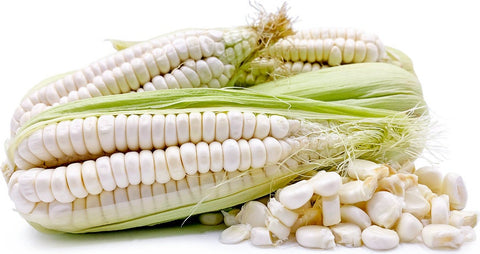 Rare Heirloom Organic Incan Cuzco Maize seeds package, GrowTime Garden Supply