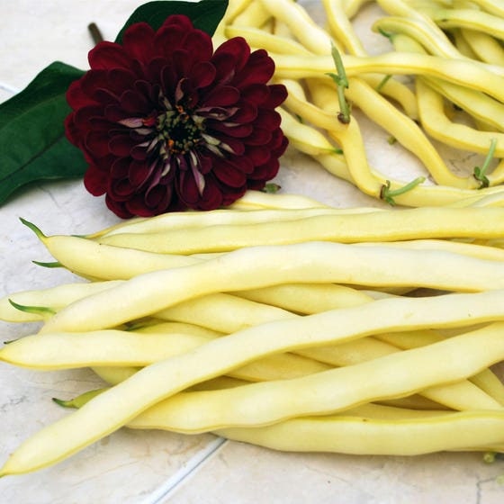 Load image into Gallery viewer, Heirloom Organic Yellow Pencil Pod Bush Bean Seeds

