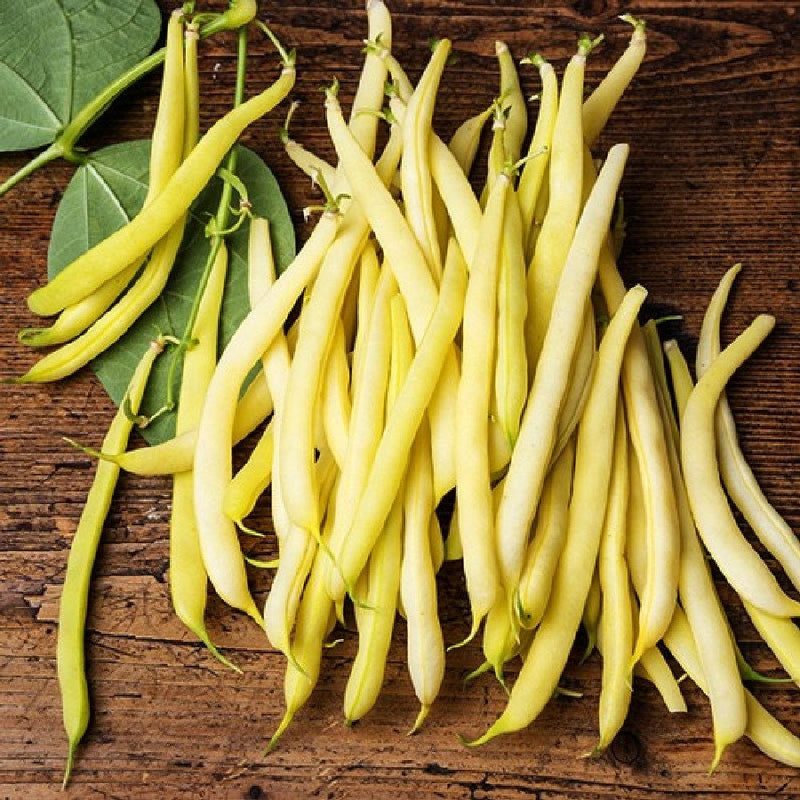 Load image into Gallery viewer, Heirloom Organic Yellow Pencil Pod Bush Bean Seeds
