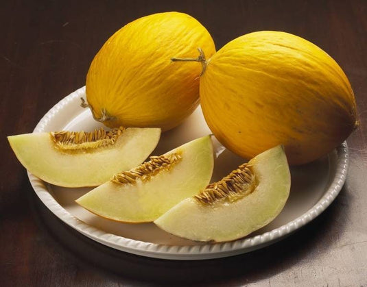 RARE Heirloom Organic Canary Melon Seeds