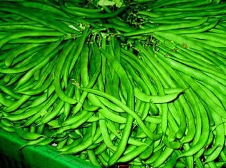 Heirloom Organic Dwarf Gray Sugar Garden Peas Seeds, additional product view 2