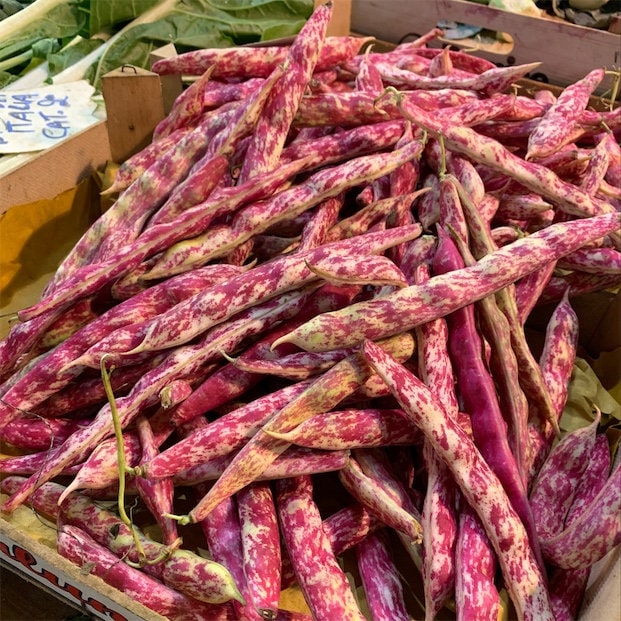 Load image into Gallery viewer, Organic Heirloom Red Cargamanto Bean Seeds
