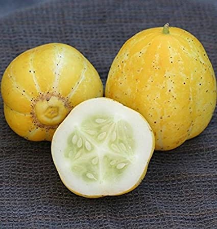 Rare Heirloom Organic Lemon Cucumber Seeds, additional product view 2